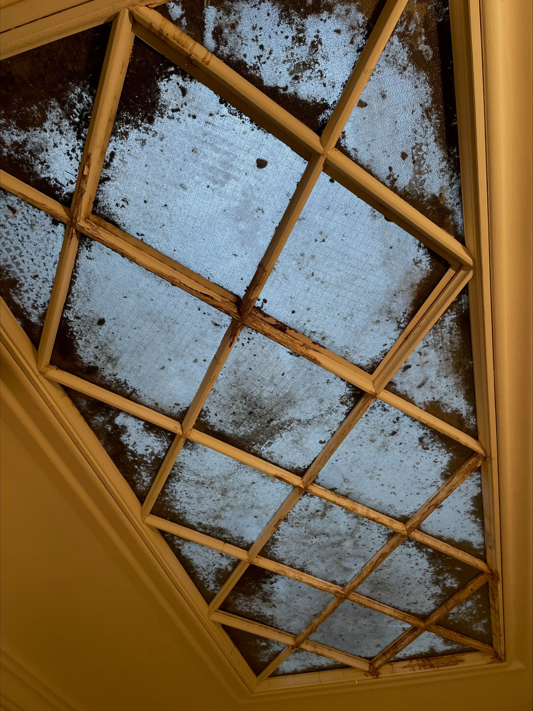 Intervention de cordistes MS Access pour rénover l’ancien chez GRISEL à Bordeaux (bâtiment) – 3